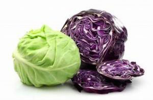 Green & Purple Cabbage